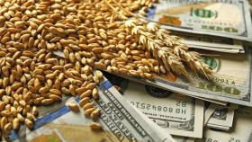 В 2023 году США поставили антирекорд по экспорту сельхозпродукции